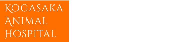 高ヶ坂動物病院